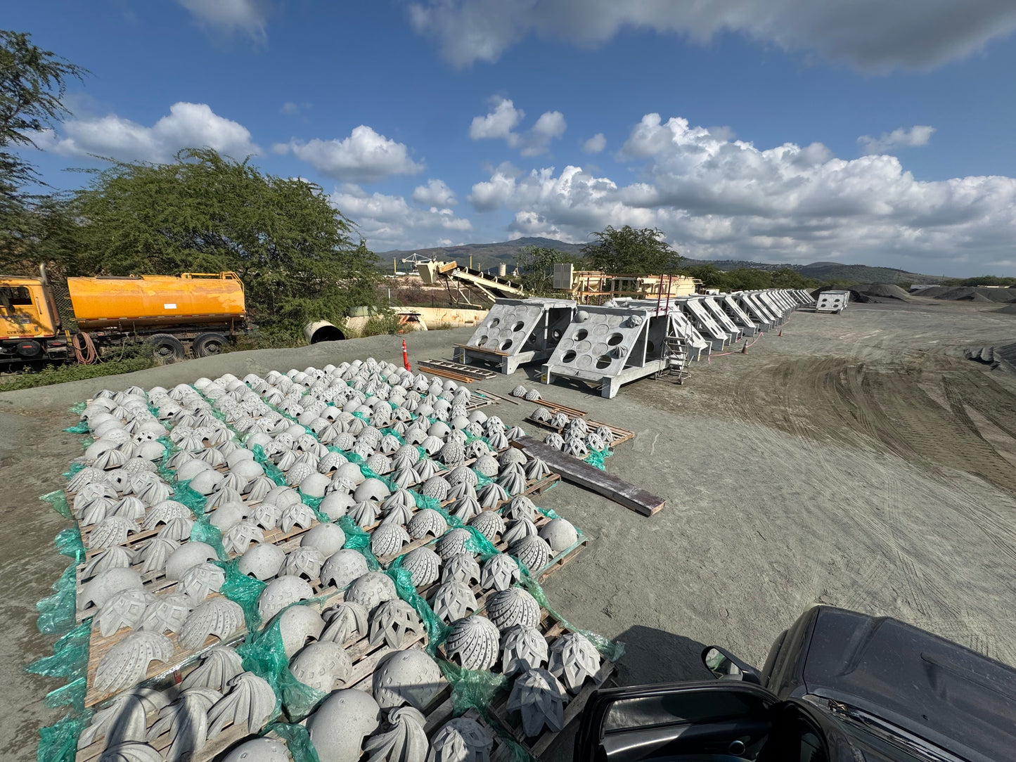Coral Restoration Modules