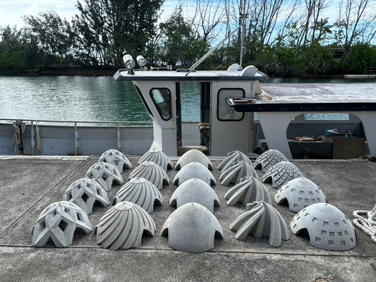 Want More Coral? It’s Not Just About Planting More