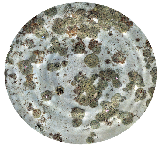 habtools: A Tool for Measuring Habitat Shape and Complexity