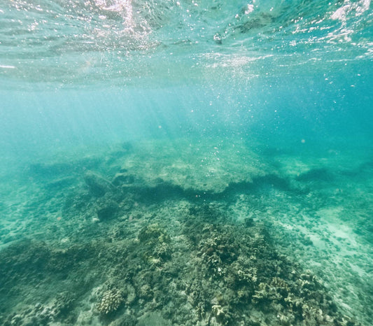Reef Stabilization and Substrate Preparation