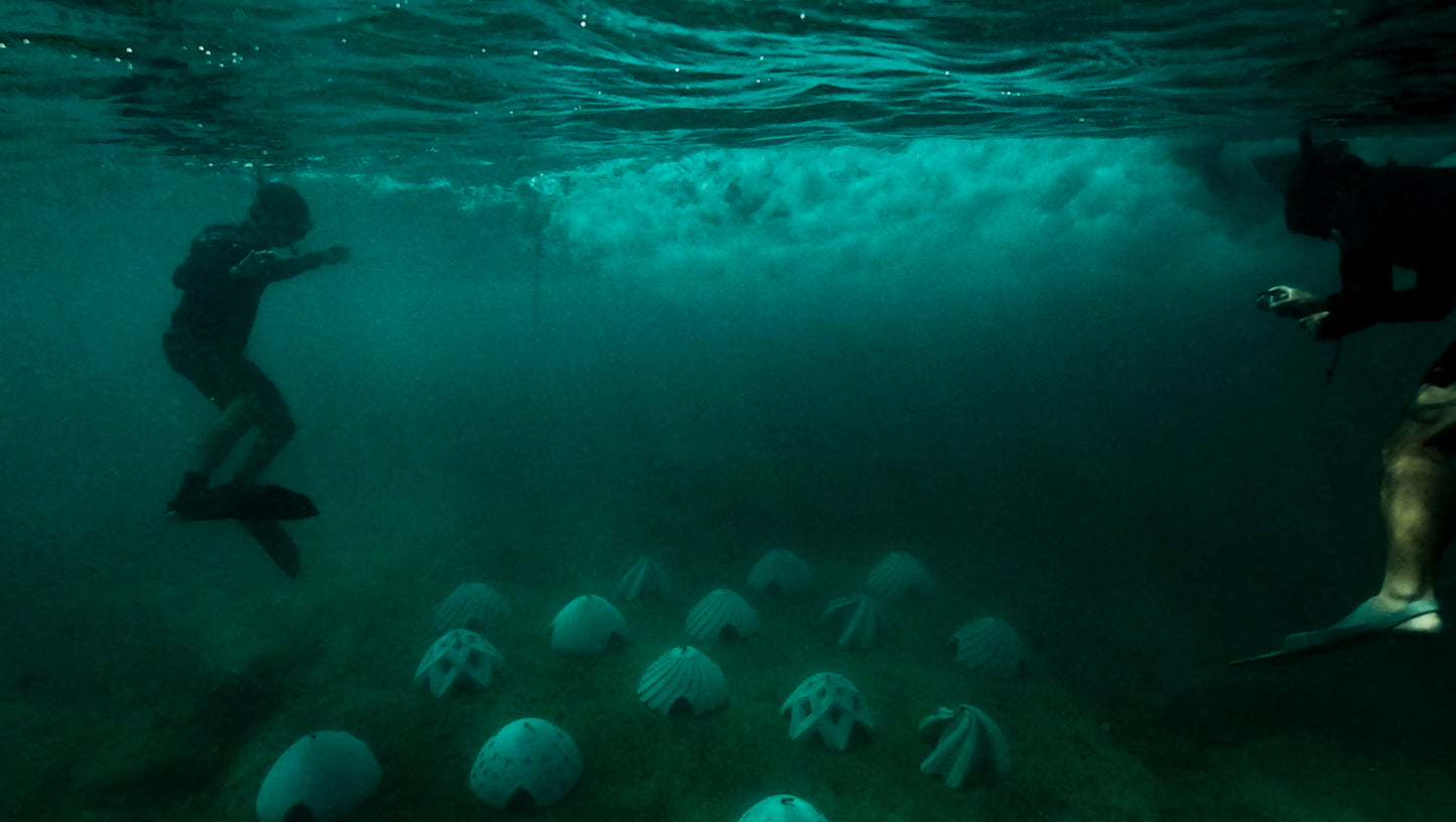 Coral Restoration Modules