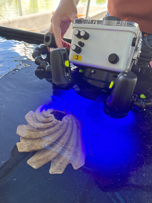 3D Bluelight Survey Rig