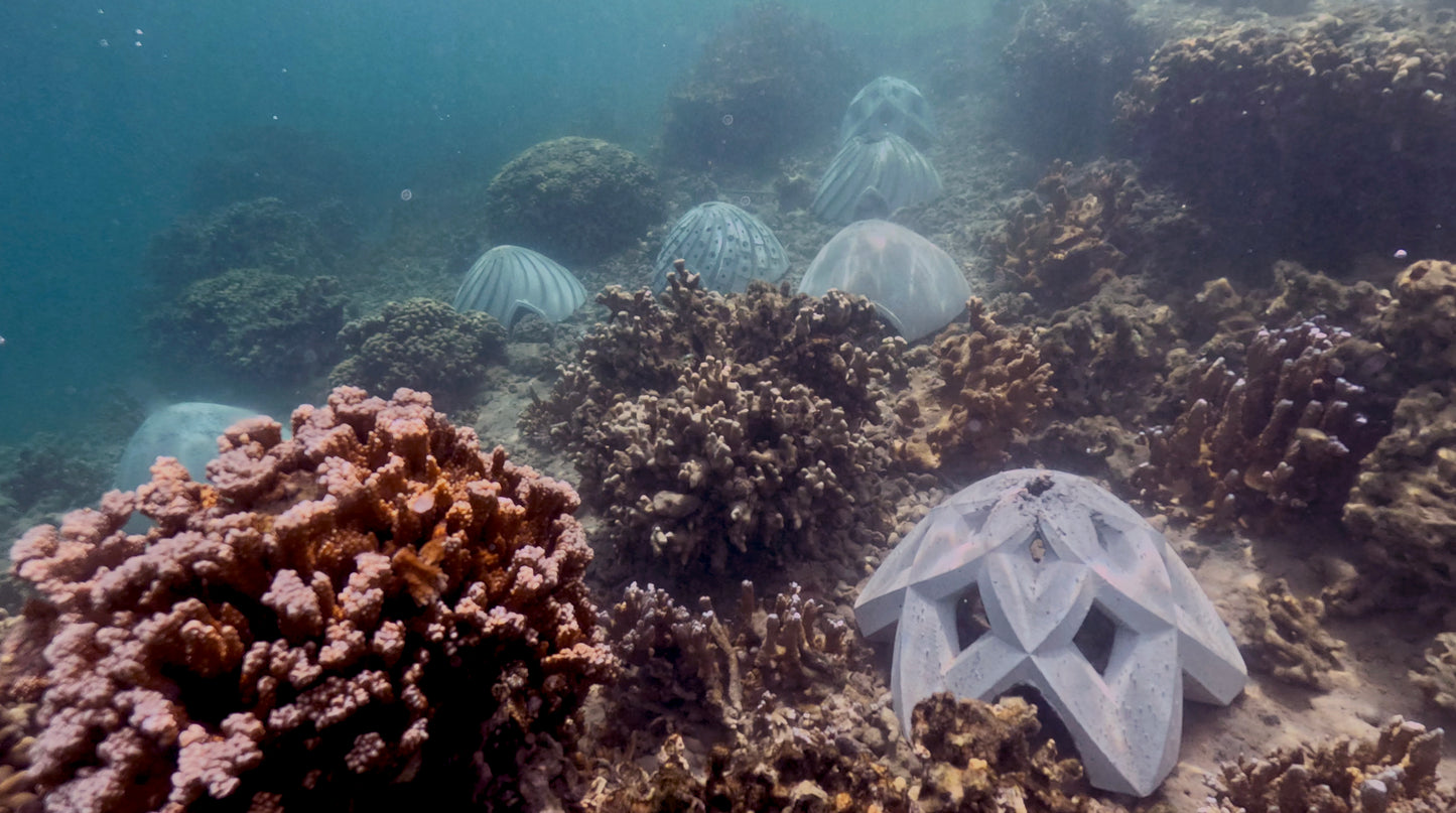 Coral Restoration Modules